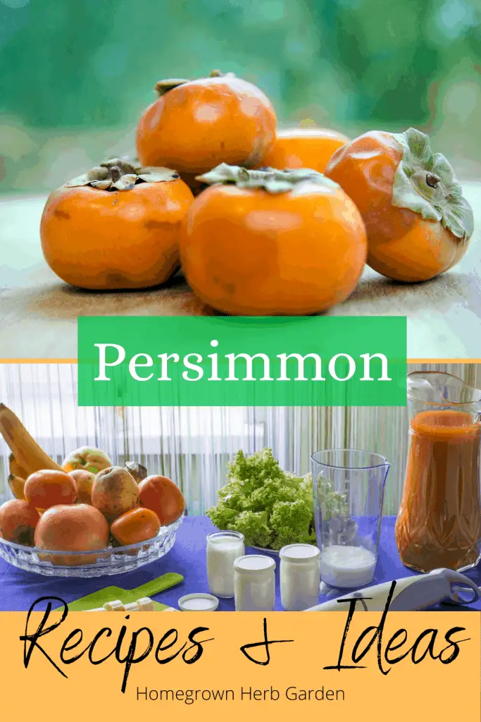 \"persimmon